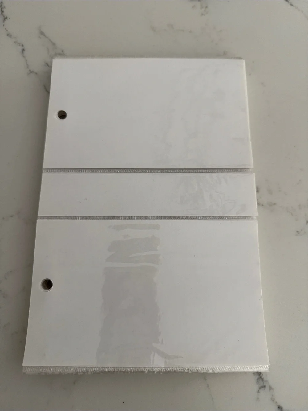 Clear Plastic photo Pages - White/Clear (51)